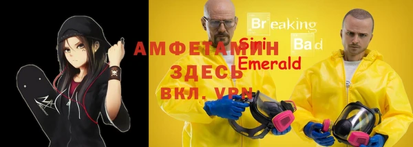 a pvp Бородино
