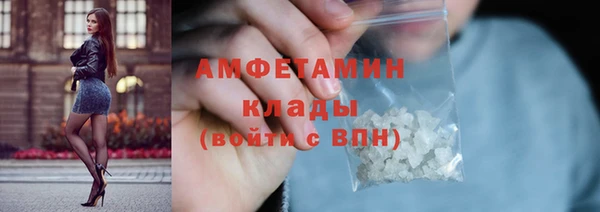 шишки Бронницы