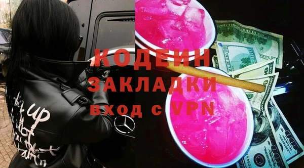 a pvp Бородино
