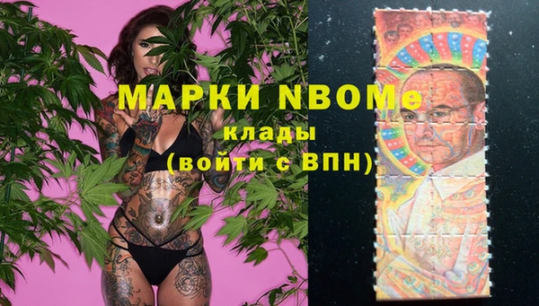 шишки Бронницы