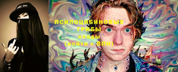 шишки Бронницы
