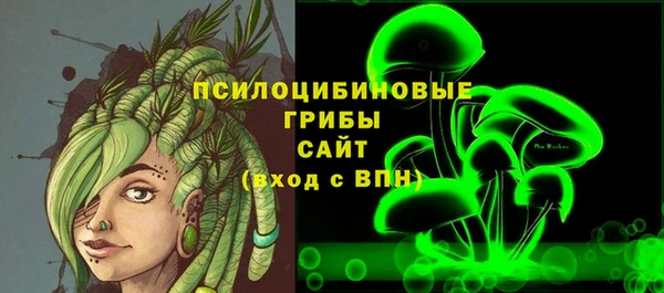 a pvp Бородино