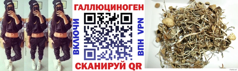 МЕГА ССЫЛКА  Бийск  Псилоцибиновые грибы Magic Shrooms 